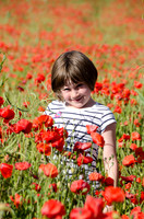 Down amongst the Poppies